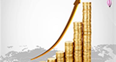 2020�����������������Ͷ����ܽ�