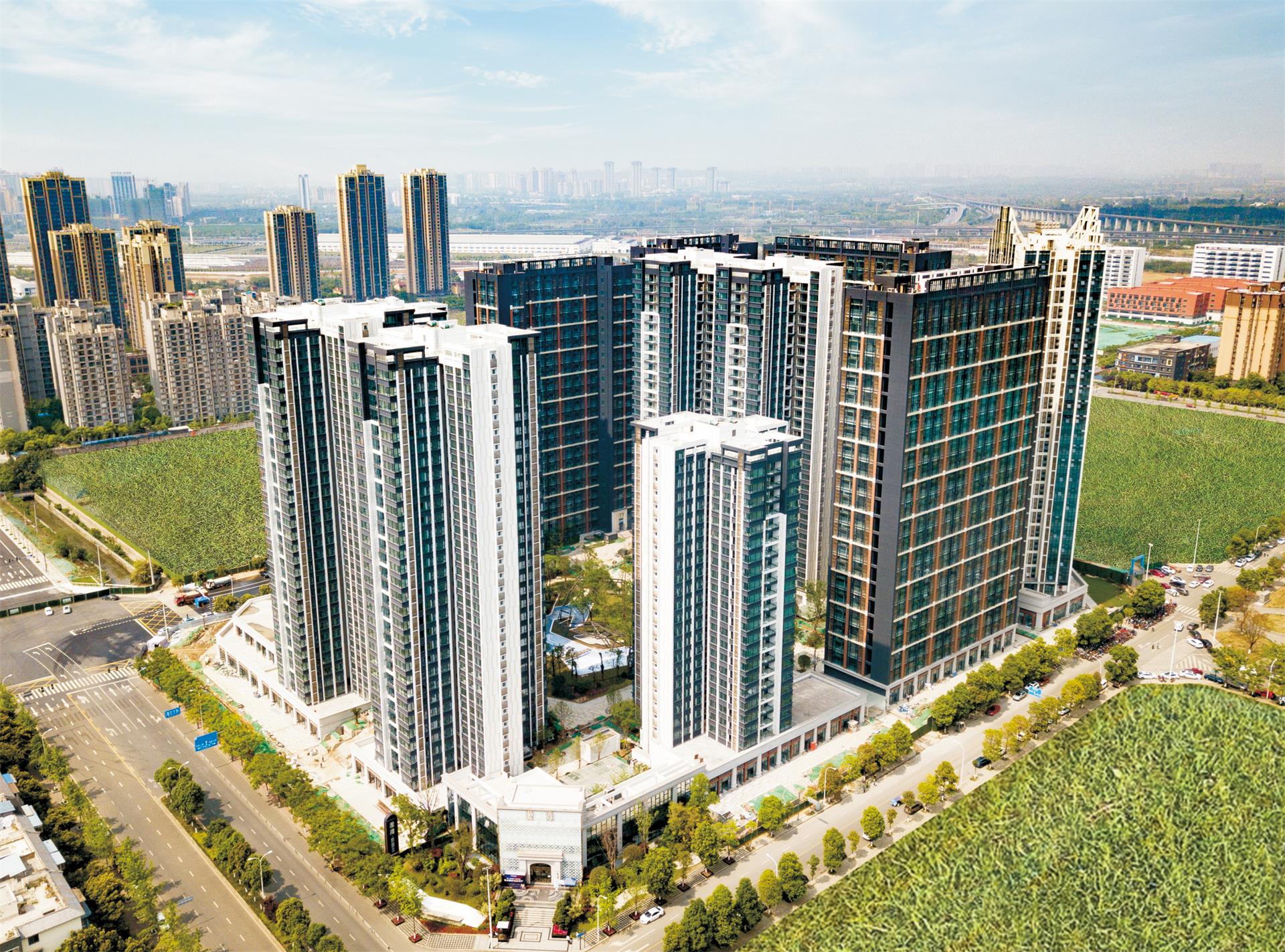 Դ̲��������1